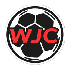 wjcjerseys.com